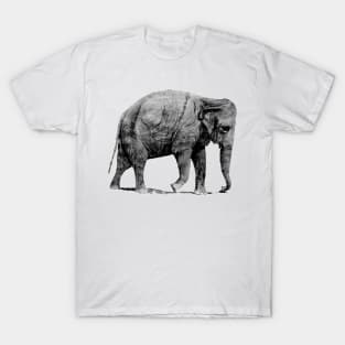 Elephant Strength T-Shirt